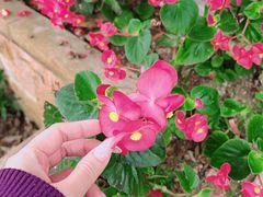 -广州市流溪河国家森林公园