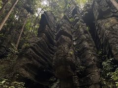 -梭布垭石林景区