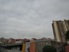 景点-大芬美术馆