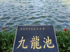 -翠湖公园