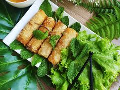 越南炸春卷-Pho 14 original viet cuisine and coffee shop