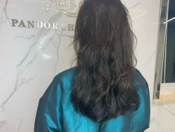 -潘多拉Hairsalon