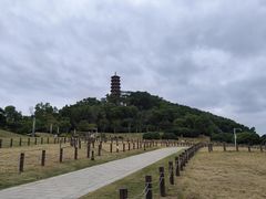 -红花山公园