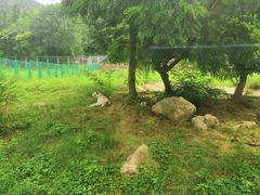 -西安秦岭野生动物园