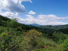 -阳台山自然风景区