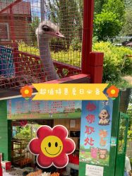 -萌宠亲子动物乐园(槐房万达店)