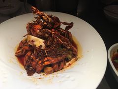 麻辣澳洲小龙虾-虾胡闹·澳洲小龙虾·烧烤(福田鲨鱼店)