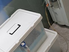 -半岛宠物医院24小时(白果林店)