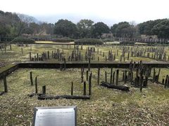 -河姆渡遗址博物馆