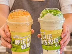 -茉酸奶(春熙路店)