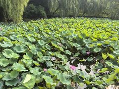 -合肥市图书馆