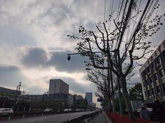 -绿源电动车(普陀专卖店)