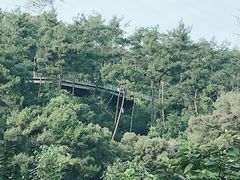 -金鸡山公园