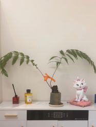 点击看大图 -WENDY·温迪皮肤管理