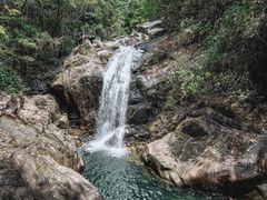 -九龙江国家森林公园