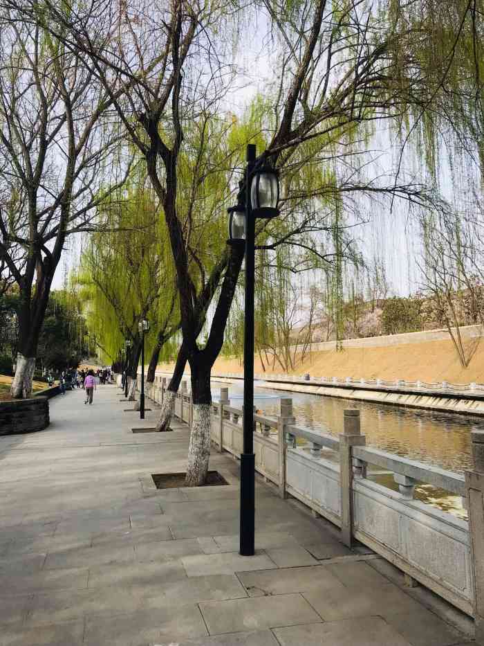 环城西苑公园-"每天上下班都路过 冬天没觉得咋 结果有天.