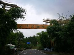 -桤木河湿地公园