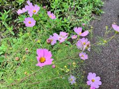 -济南国际园博园