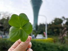-狐尾山公园