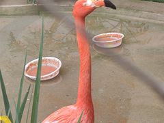 -成都动物园