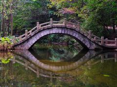 -洛阳白云山景区