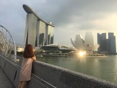 -新加坡丽思卡尔顿美年酒店