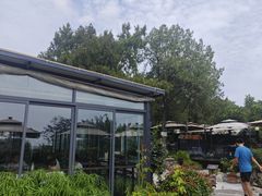 -蘇河湾·新鲁菜·泰山宴(泰山店)