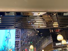 -桂满陇·海市蜃楼·黑金(国金店)