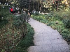 -杭州半山国家森林公园