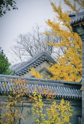 -颐和宾馆宴会厅