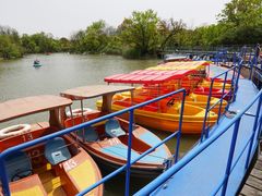 -吴淞炮台湾湿地森林公园烧烤区