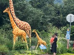 -西安秦岭野生动物园