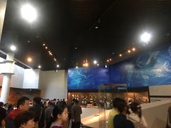 -北京周口店北京人遗址博物馆