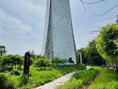 -东平国家森林公园
