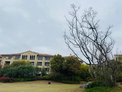 -上海崇明金茂凯悦酒店