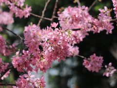 -乌山风景区