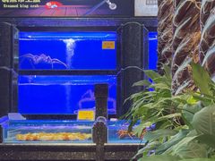 -万宝海鲜舫(劳动公园店)