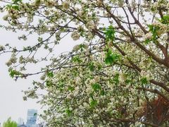 -大雁塔北广场音乐喷泉