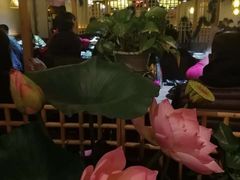 大堂-探窝·竹笙椰子鸡(杨箕店)