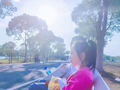 -漕湖湿地公园