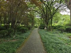 -白马涧龙池景区