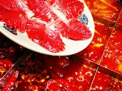 郡肝-重庆渝达老火锅(春熙路店)