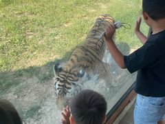 -祥源·阜阳生态乐园