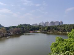 -东莞植物园