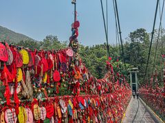 -西双版纳原始森林公园