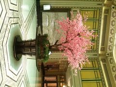 android_upload_pic-上海和平饭店 Fairmont Peace Hotel