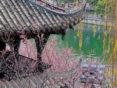 -望江楼公园
