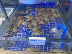 -船歌·鱼水饺青岛菜(闽江二路店)