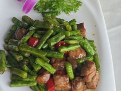 -云中小雅