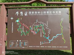 -牛背梁国家森林公园